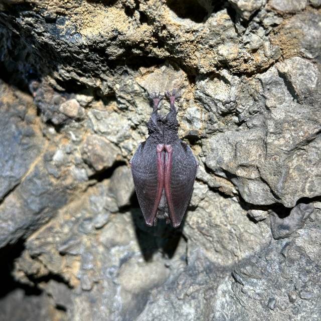 Большая Фанагорийская пещера и Аюкские водопады