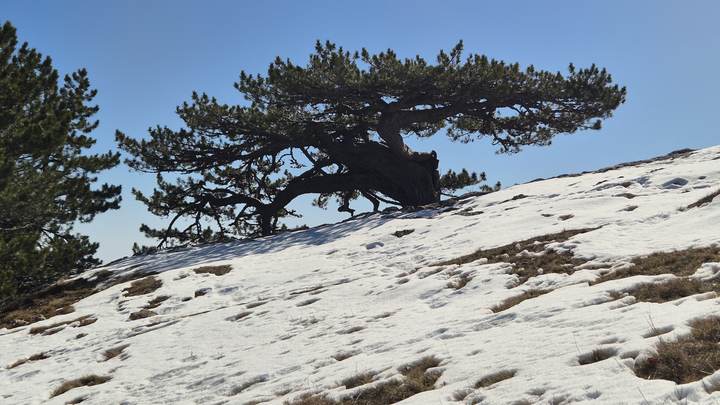Заповедные тропы Крыма
