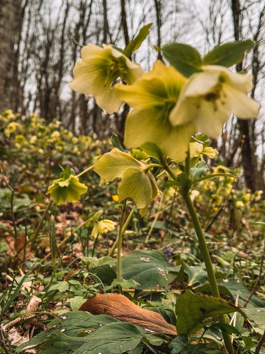 Через предгорье Кавказа к морю - из Шапсугской в Кабардинку