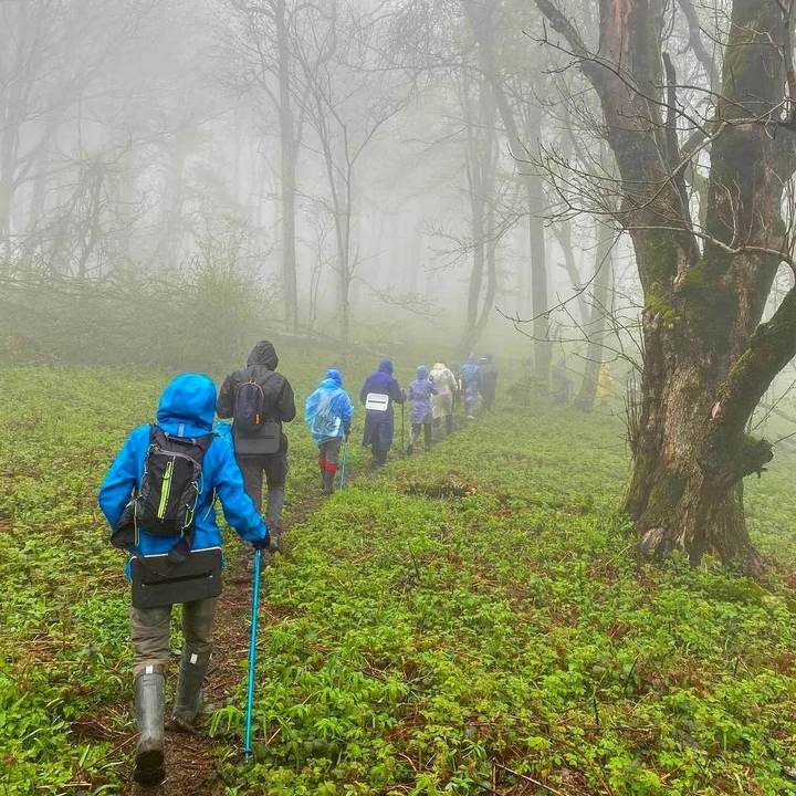 Гора Фишт — фото маршрута 3