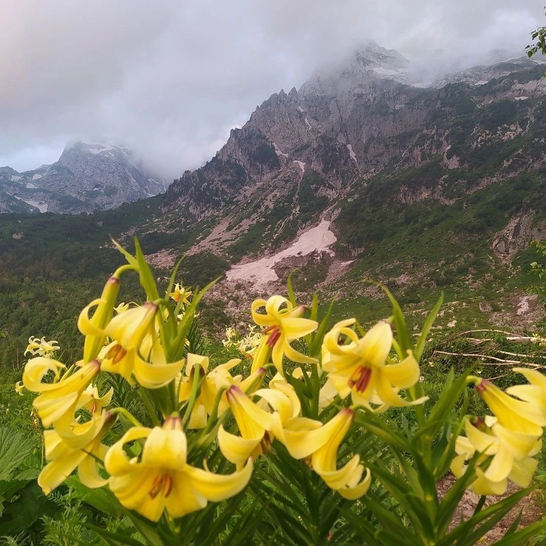 30-ый маршрут Кавказского заповедника